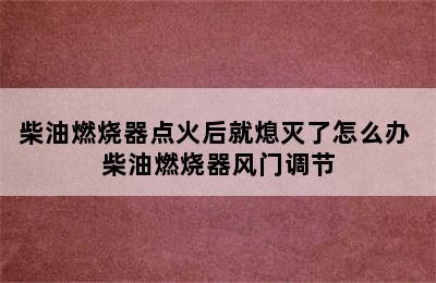 柴油燃烧器点火后就熄灭了怎么办 柴油燃烧器风门调节